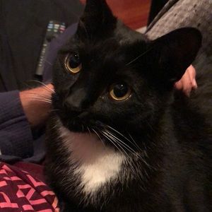 Meet your Posher, Robert